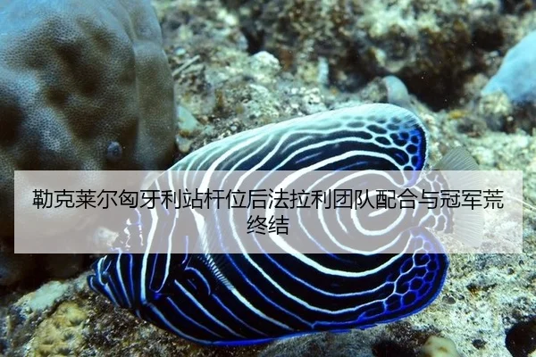 勒克莱尔匈牙利站杆位后法拉利团队配合与冠军荒终结